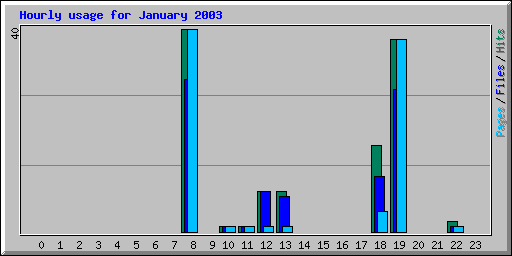 Hourly usage for January 2003