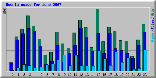 Hourly usage for June 2007